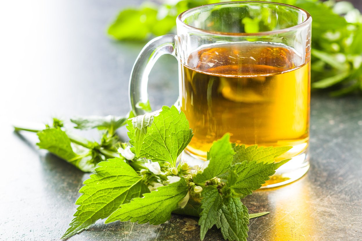 White Dead Nettle Leaves and Tea