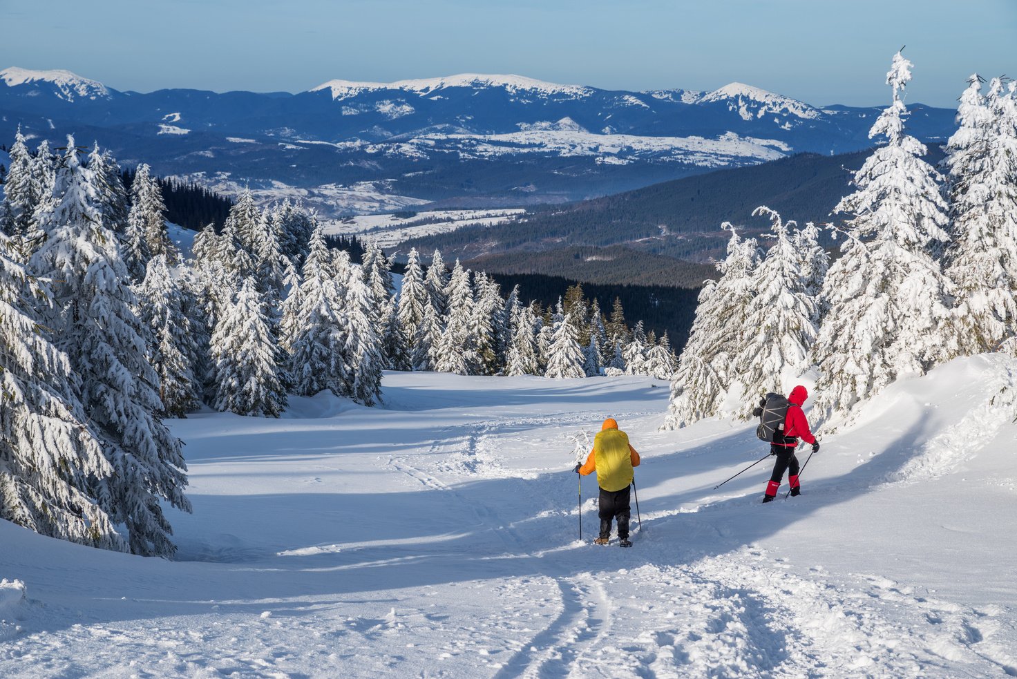 Winter hiking.